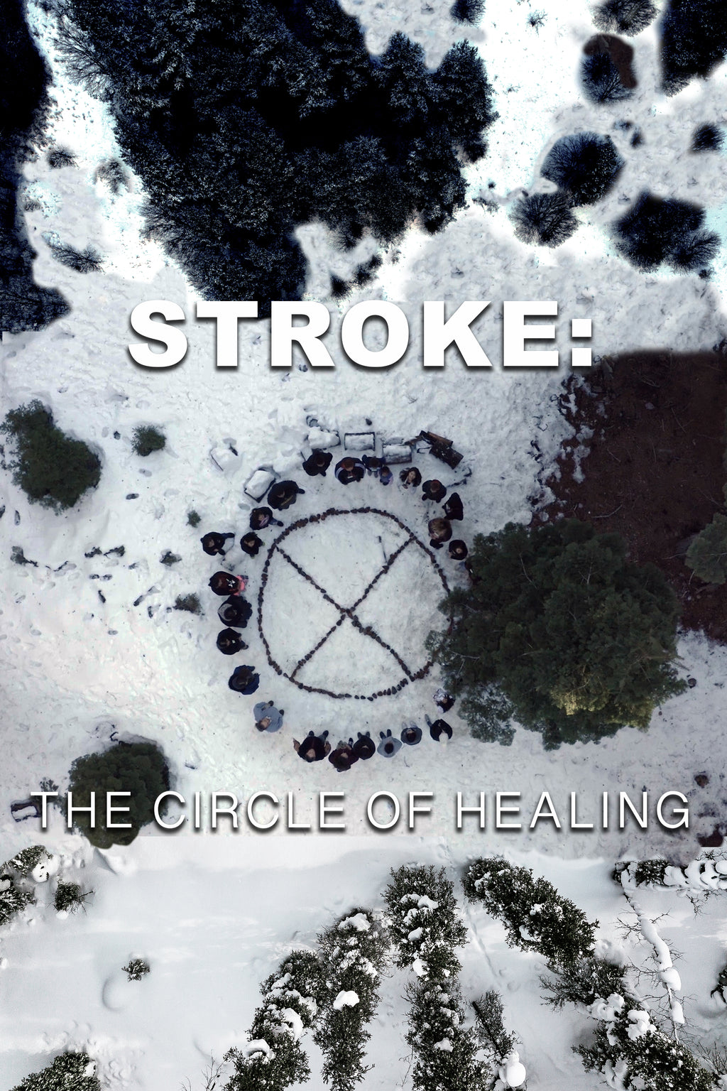 Stroke: The Circle of Healing