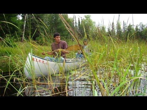 Growing Native Great Lakes: Turtle Island