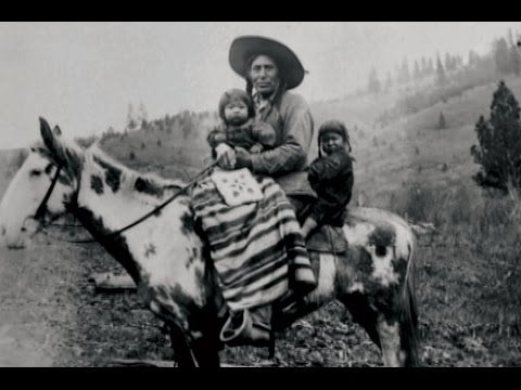 Horse Tribe